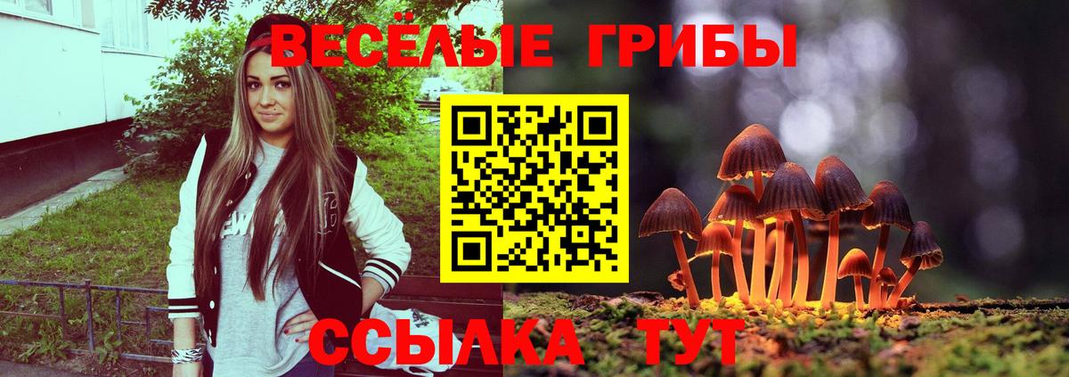 Галлюциногенные грибы мицелий Барнаул